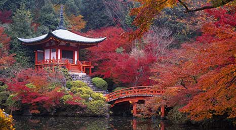 photo of Киото