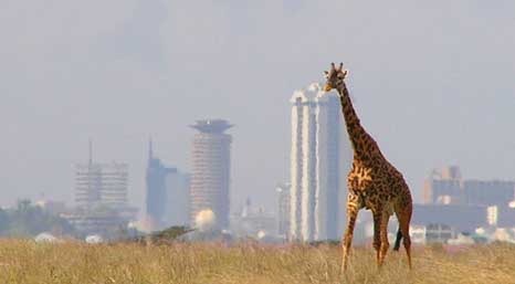 photo of Найроби
